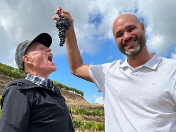 Douro Valley Premium Wine Tour with Lunch and Private Cruise