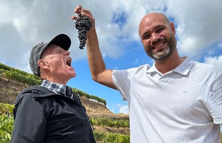 DOURO VALLEY: Premium Wine Tour, Lunch at Winery & Private Cruise