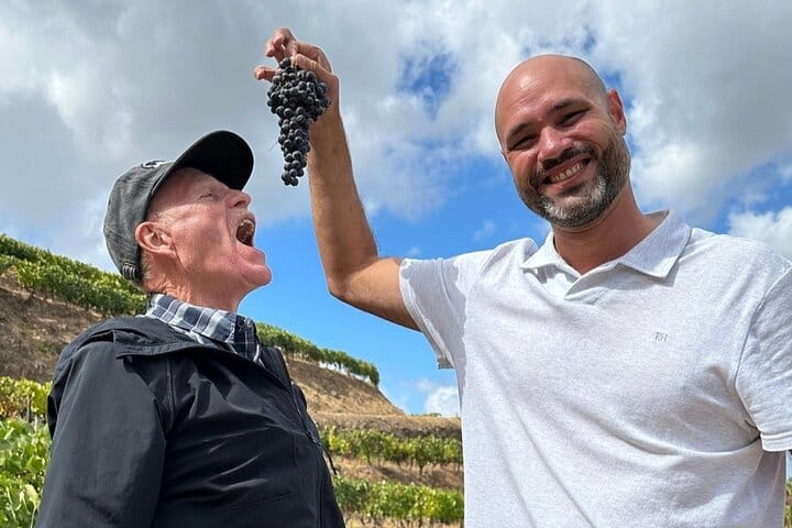 DOURO VALLEY: Premium Wine Tour, Lunch at Winery & Private Cruise