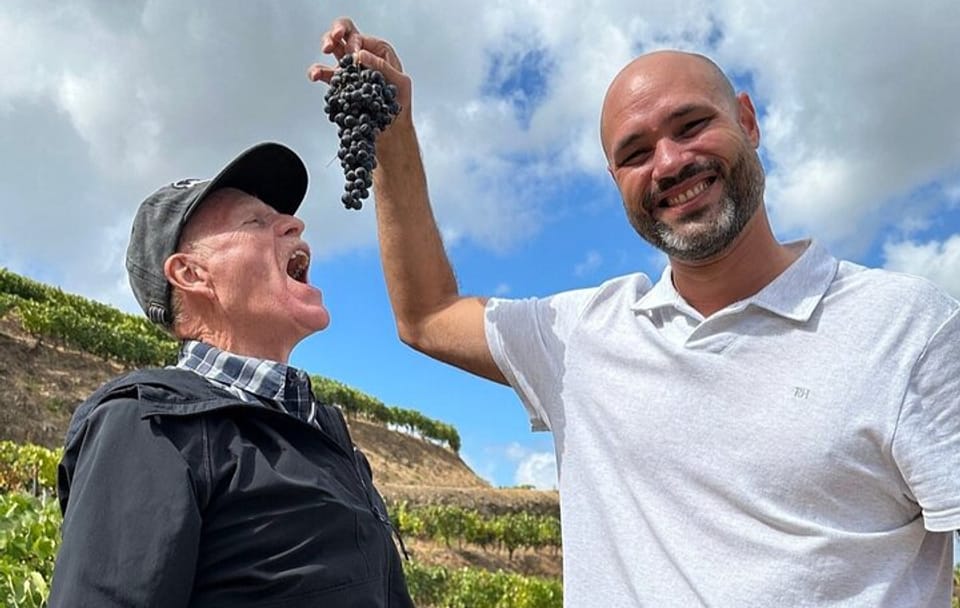 Douro Valley Premium Wine Tour with Lunch and Private Cruise