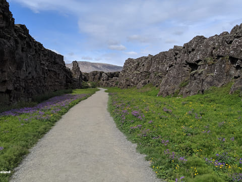 Walk between two tectonic plates in Thingvellir