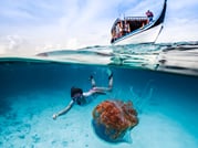 Guided Snorkeling Trip 1