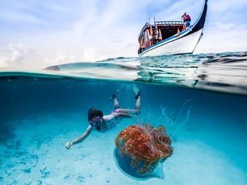 Sandbank, Snorkeling, Dolphin Cruise, Local Island Tour