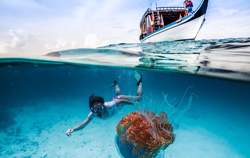 Guided Snorkeling Trip