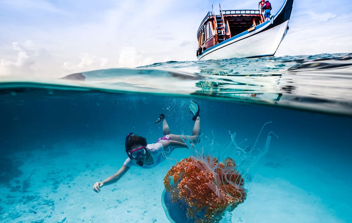 Guided Snorkeling Trip