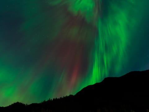 Northern Lights Private Hunt: Your Vehicle, Your Pace, from Reykjavik, photo 5