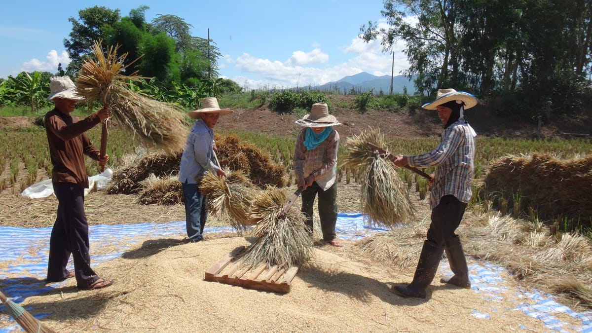 Chiang mai Suthep National Park Leisure Hiking & Mountain Biking