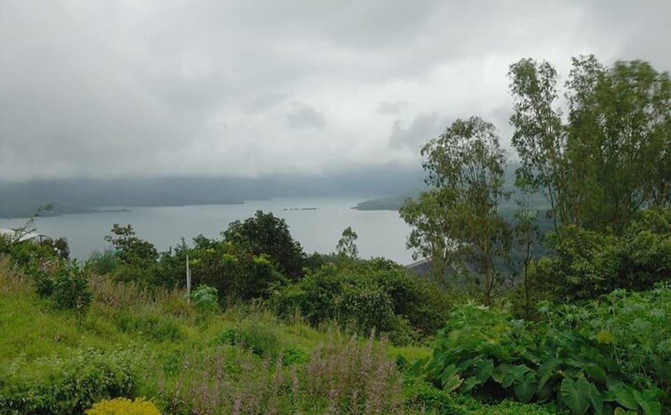 Wildlife and Beach Tour from Pune to Goa's Anjuna and Calangute