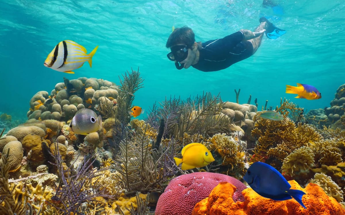Key West 3-Hour Snorkeling with Unlimited Drinks