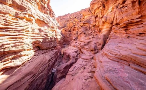 Jeep Adventure and Snorkeling at Canyon Salama and Dahab