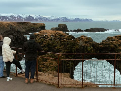 Grundarfjordur Port: Small Group Snaefellsnes Peninsula from Cruise Terminal, photo 4