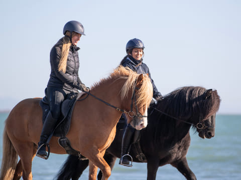 2 Hour Private Horsebackriding - Incredible opportunity to explore the enchanting landscapes while riding on a well-trained Icelandic horses, photo 2