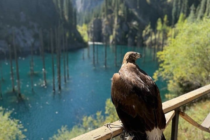 Turquoise alpine lake surrounded by pine forests and steep mountain slopes