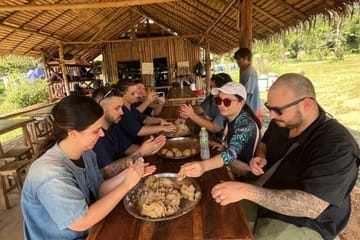 Full-Day Elephant Sanctuary and Pad Thai Cooking in Chiang Mai