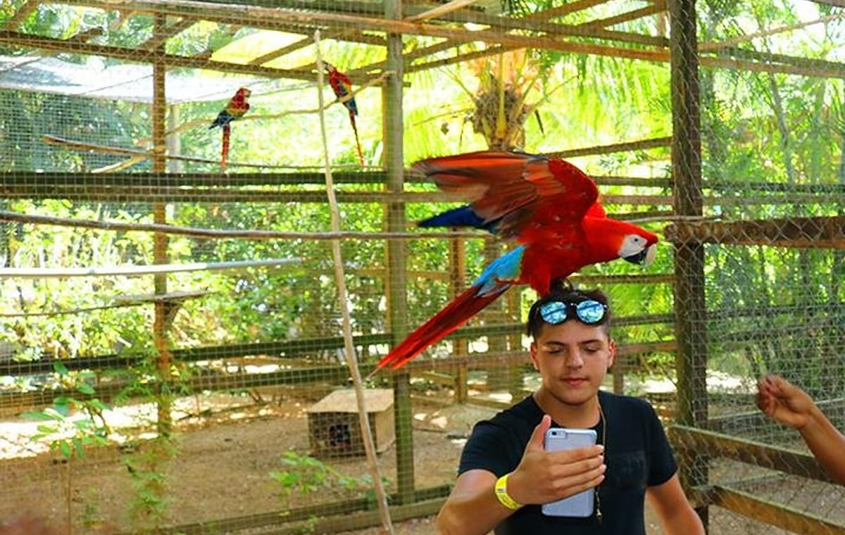 Roatan Wild Life Encounters + City Tour & Transfer