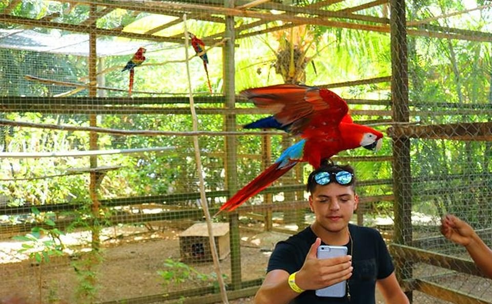 Wildlife and City Tour in West End, Roatan