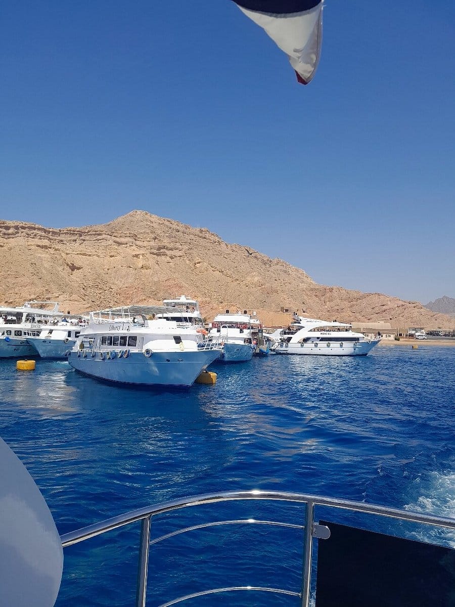 sharm el sheikh safari trip