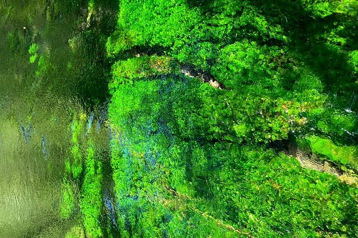 Kamikochi Feel nature and Hiking 1 day trip (near Takayama)