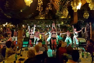Chilean Folklore Show and Dinner with Private Transport