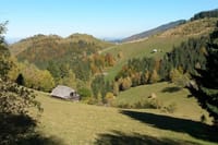 Hill Walking & Gourmet Traditional Lunch on Mountains near Bran Castle 2