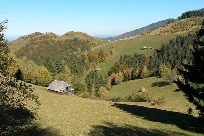 Hill Walking & Gourmet Traditional Lunch on Mountains near Bran Castle 2
