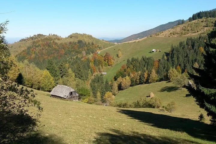 Hill Walking & Gourmet Traditional Lunch on Mountains near Bran Castle 2