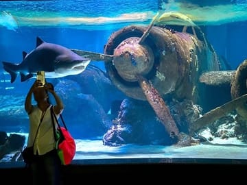 Antalya Aquarium Admission Ticket