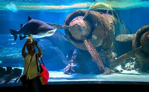 Antalya Aquarium Admission Ticket