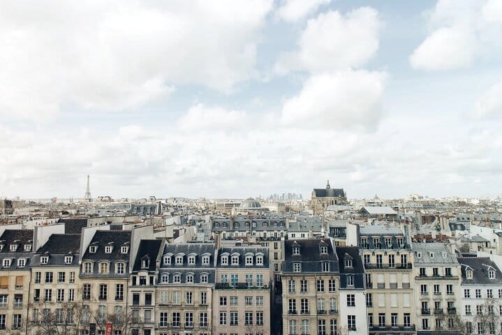 Paris 4hour Private Tour & River Cruise with CDG Airport pick up  3