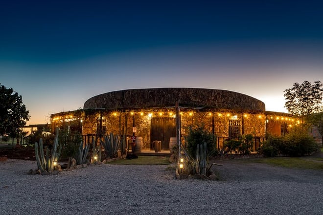 Valle de Guadalupe Wine Experience: All Wine Tastings Included - Photo 1