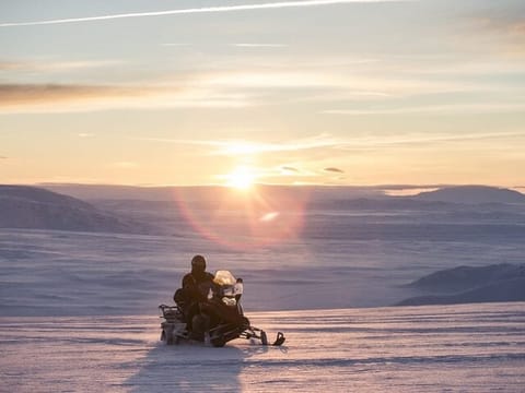 Golden circle & Glacier Snowmobile Tour, photo 2