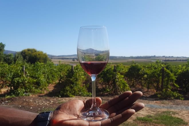 Red Wine at Fairview Winery
