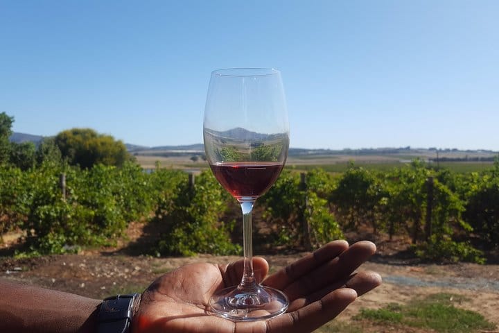 Red Wine at Fairview Winery