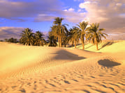 liwa desert tour