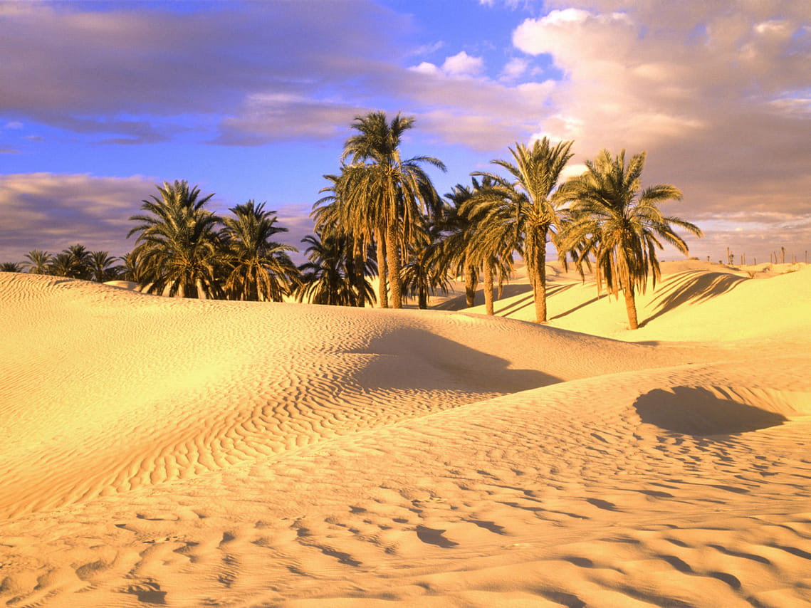 liwa desert tour