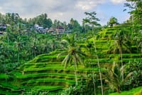 Ubud Tirta Empul Blissful Cleansing 7