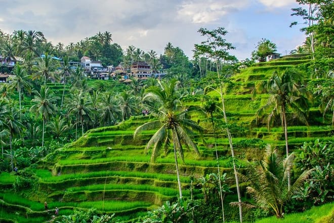 Ubud Tirta Empul Blissful Cleansing 7