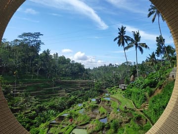 Ubud Highlights Day Tour