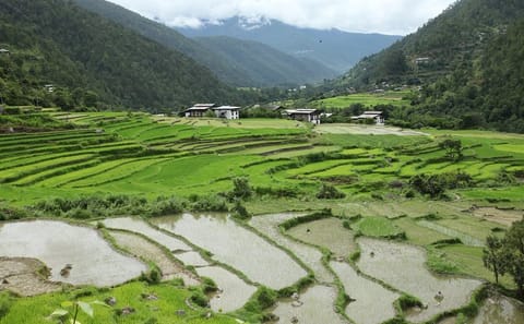 16-Day Cultural and Culinary Tour of Bhutan's East and West