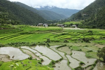 16-Day Cultural and Culinary Tour of Bhutan's East and West
