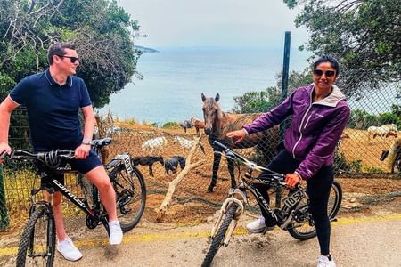 Island Cycling Exploration in Adalar Buyukada