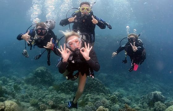 Dubai : Scuba Diving in Arabian Gulf Marine Life
