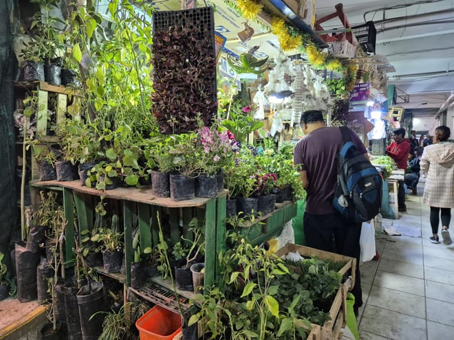 San Camilo Market Walking Tour 10