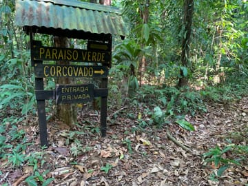 Corcovado National Park Day Adventure in Drake Bay