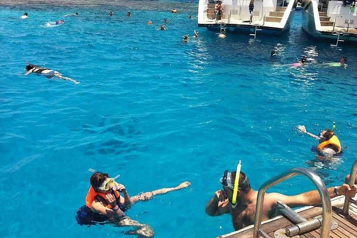 Snorkeling Adventure at Ras Mohamed Park & White Island from Sharm el Sheikh