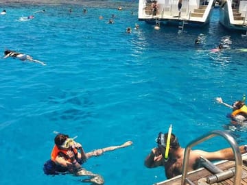 Snorkling Day trip at Tiran Island