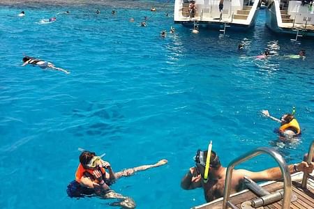 Snorkeling Adventure at Ras Mohamed Park & White Island from Sharm el Sheikh