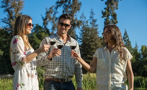 Hot Air Balloon Ride and Wine Tasting in Casablanca Valley