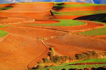 Private Day Tour of Dongchuan Red Land from Kunming
