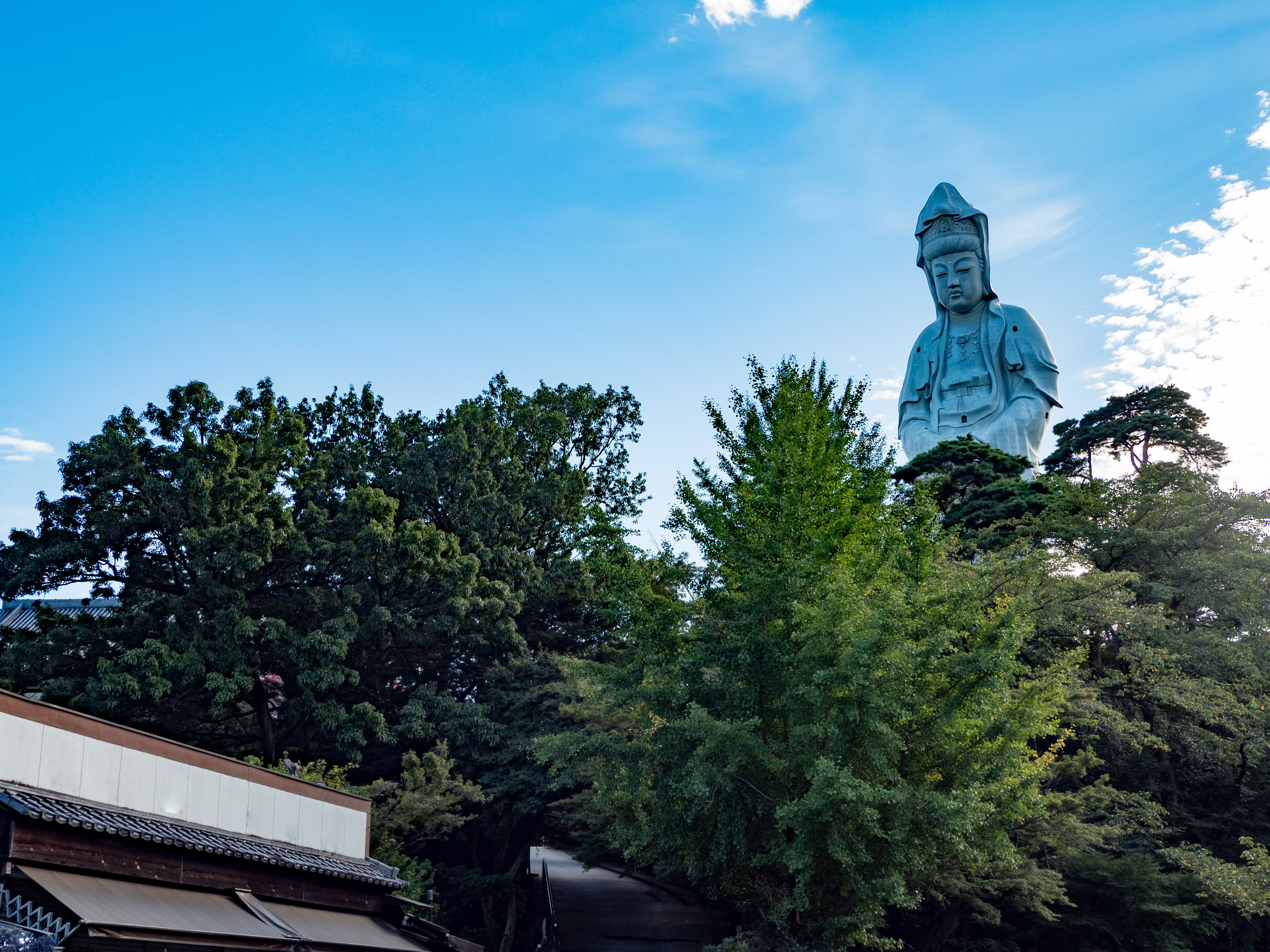 Takasaki Custom Day Tour